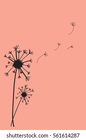 Vector Dandelions blowing in pink background.