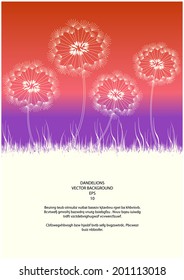 vector dandelions and grass silhouettes in sunset