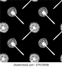 vector; dandelions, seamless pattern for your design. A hand drawn, sketched flower. Black and white illustration