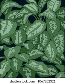vector dark blue background with bright green spotted leaves plant philodendron