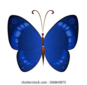 Vector dark blue butterflies