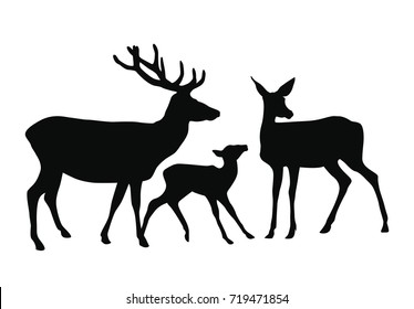 A vector dark silhouette deer family - deer, little fawn and doe. Each one of them is isolated on white background so you can use just one of them if you want.