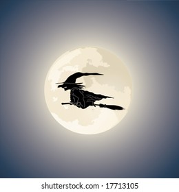 Vector. Dark Witch on Broomstick