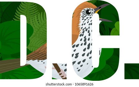 vector D.C.  - American District of Columbia word with Wood thrush (Hylocichla mustelina)