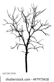 Vector of dead tree 