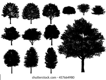 125,082 Maple Tree Stock Vectors, Images & Vector Art | Shutterstock