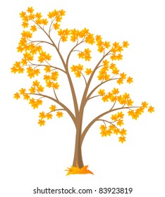 Vector deciduous tree, isolated on a white background.