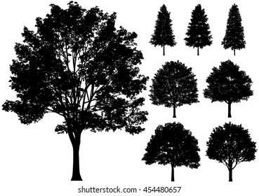 Vector deciduous trees isolated on a white background.
front view.