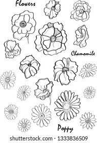 Vector decor flowers. Collection of hand drawn manual flowers. Monochrome vector illustrations in sketch style. Stylization fantasy, ethno collection. Poppy, daisy, fantastic colors