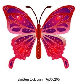 vector  decorate butterfly