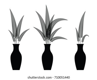 Vector decorate fern flowers in the vase. set illustration.