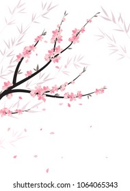 Vector decoration branches with flowers, spring blossom sakura.