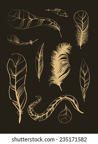 Vector decoration graphics, Set of Sketch Plumage