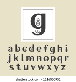 Vector decorative alphabet. Sans serif lowercase letters decorated with vintage flourishes. For initials, monograms, wedding design.