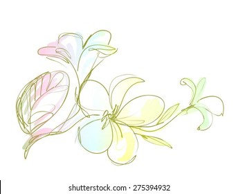 Vector Decorative background with beautiful blooming magnolia branch