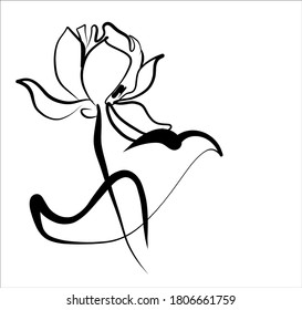 Vector Decorative background with beautiful   lotus, water lily, lily