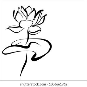 Vector Decorative background with beautiful   lotus, water lily, lily