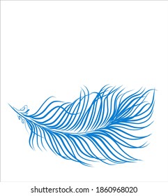 vector decorative background for design with light bird feather