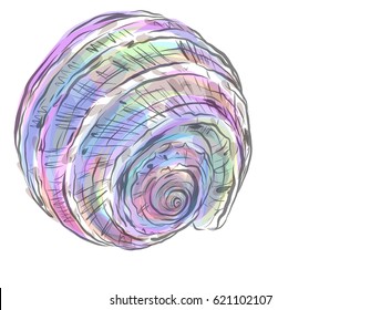 VECTOR Decorative background for design with seashells.
 
