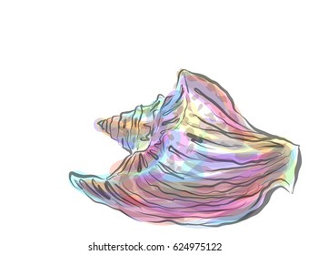 VECTOR Decorative background for design with seashells