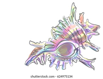 VECTOR Decorative background for design with seashells