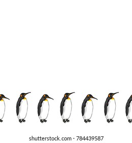 Vector decorative border from bird penguin on white background.  Emperor penguin