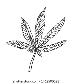 Vector Decorative branch of big hemp with leaves
