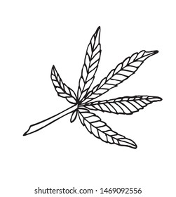 Vector Decorative branch of big hemp with leaves