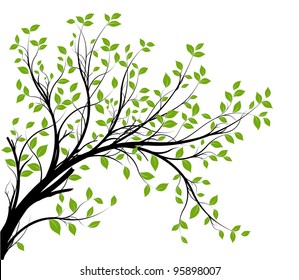 vector - decorative branch silhouette and green leaves, white background