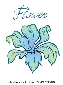 Vector decorative color summer flower. Linear illustration isolated on white.