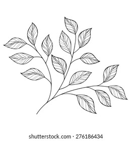 Vector Decorative Contour Branch with Leaves, Patterned design
