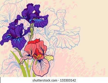 Vector decorative designs of iris flowers