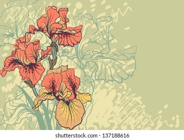 Vector decorative designs of iris flowers