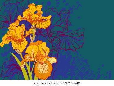 Vector decorative designs of iris flowers