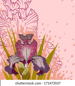 Vector decorative designs of iris flowers
