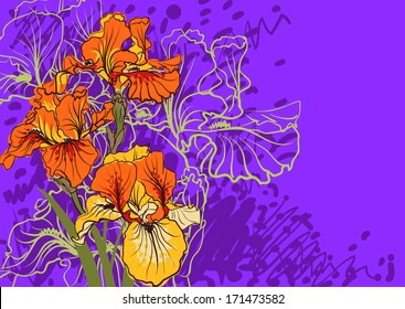 Vector decorative designs of iris flowers