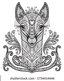 Vector decorative doodle ornamental head of llama. Abstract vector illustration of lama black contour isolated on white background. Stock illustration for coloring, design and tattoo. 