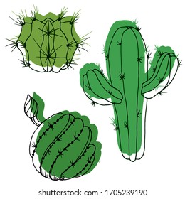 Vector decorative drawing of a cactus. Nature. Sketch, illustration. 