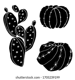 Vector decorative drawing of a cactus. Nature. Sketch, illustration. 