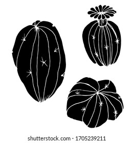 Vector decorative drawing of a cactus. Nature. Sketch, illustration. 