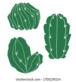 Vector decorative drawing of a cactus. Nature. Sketch, illustration. 