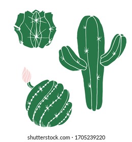 Dibujo decorativo vectorial de un cactus. Naturaleza. Dibujo, ilustración. 
