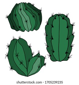 Vector decorative drawing of a cactus. Nature. Sketch, illustration. 