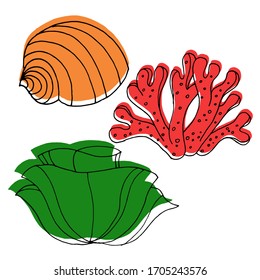 Vector decorative drawing of shells, corals. The seabed, the ocean. Summer. Nature. Sketch, illustration.