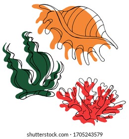Vector decorative drawing of shells, corals. The seabed, the ocean. Summer. Nature. Sketch, illustration.