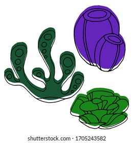 Vector decorative drawing of shells, corals. The seabed, the ocean. Summer. Nature. Sketch, illustration.