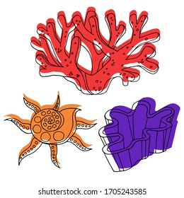 Vector decorative drawing of shells, corals. The seabed, the ocean. Summer. Nature. Sketch, illustration.