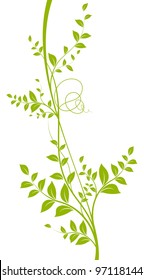 vector decorative element. Green liana with leaves over a white background