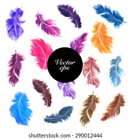 Vector decorative elements. Watercolor hand drawn colorful bird feather set isolated on white