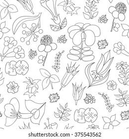Vector decorative ethnic flower black and white seamless pattern. Tropical flowers. Adult coloring book page set of black flowers